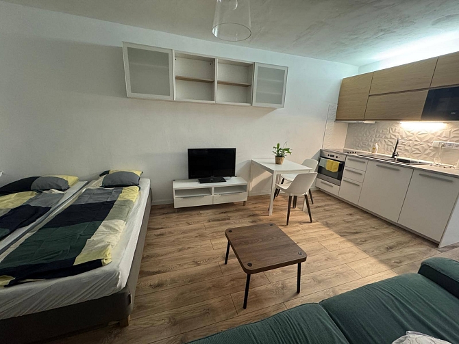 Pronájem bytu 1+kk 29 m², Studentská, Karviná-Mizerov