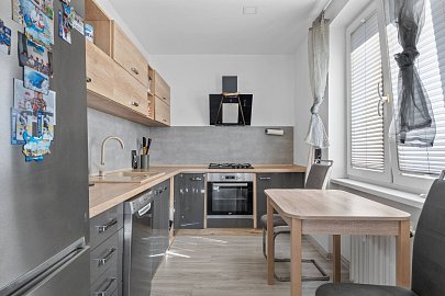 Prodej bytu 1+1 36 m², Březová, Karviná-Ráj