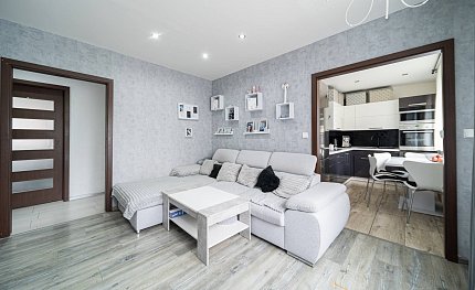 Prodej bytu 3+kk 63 m², Borovského, Karviná-Ráj